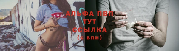 дживик Бронницы
